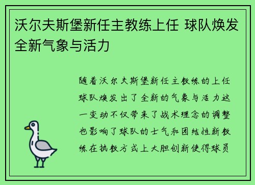 沃尔夫斯堡新任主教练上任 球队焕发全新气象与活力