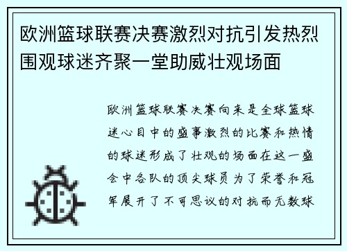 欧洲篮球联赛决赛激烈对抗引发热烈围观球迷齐聚一堂助威壮观场面