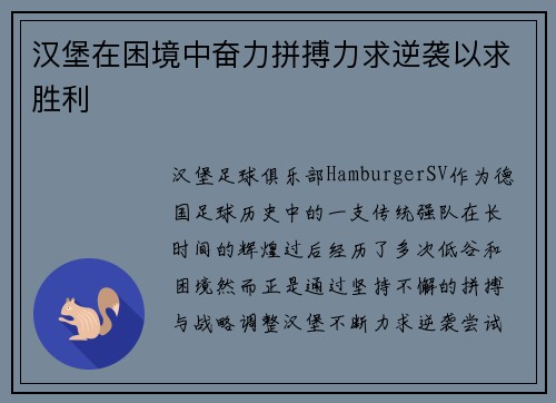 汉堡在困境中奋力拼搏力求逆袭以求胜利